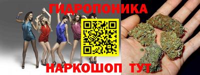 стафф Туймазы
