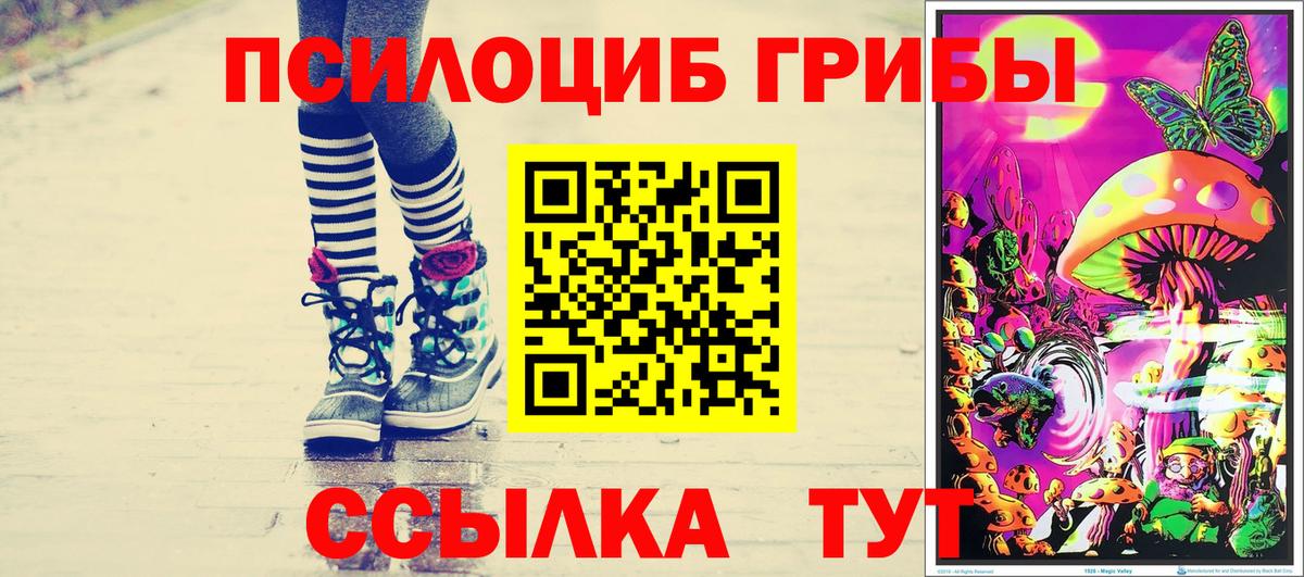 Галлюциногенные грибы Cubensis Новочеркасск