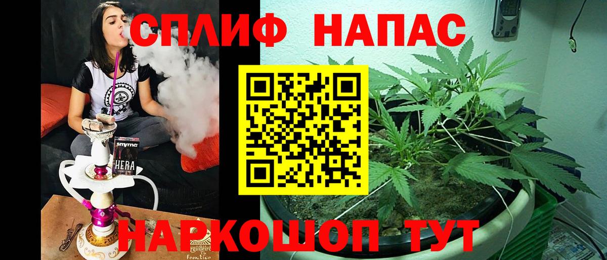 Канабис Новочеркасск